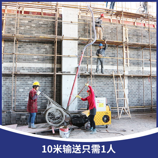 二次構(gòu)造柱泵 五洲機械